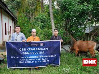 Bank Sultra Salurkan CSR 23 Ekor Sapi Kurban ke Seluruh Wilayah Sulawesi Tenggara
